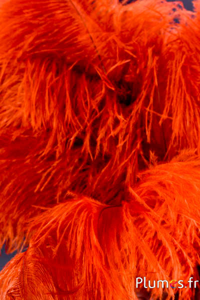 Struzzo - 30-40 cm - ambra